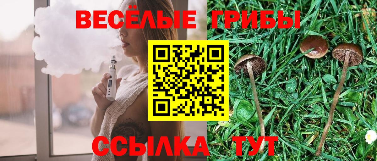 Галлюциногенные грибы GOLDEN TEACHER  Псилоцибиновые грибы мухоморы  Советск  Вход с VPN 